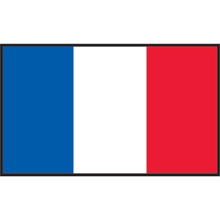 Gastlandflagge  20*30 Frankreich