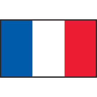 Gastlandflagge  20*30 Frankreich